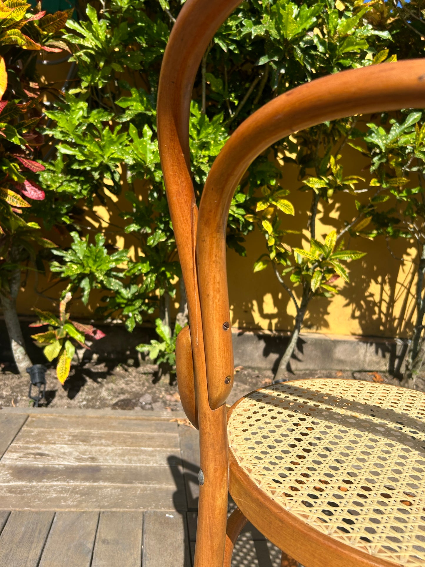 Cadeira Thonet